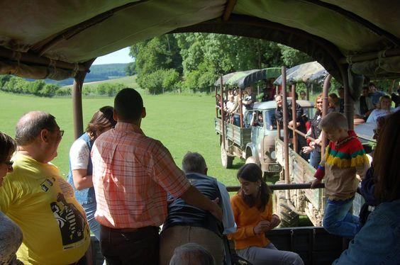 DSC_0063 [50%] [50%].JPG